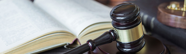 litigation litigation